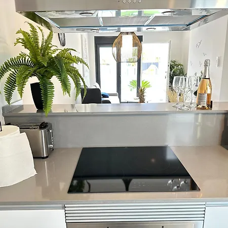 Lagarto - El Verger Dénia